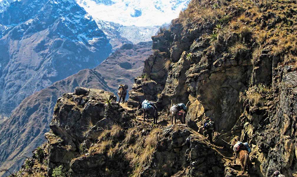 Day 4: Choquequiraw | Choquequiraw Pass- Rio Blanco- Maizal